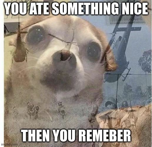 cursed | YOU ATE SOMETHING NICE; THEN YOU REMEBER | image tagged in ptsd chihuahua | made w/ Imgflip meme maker