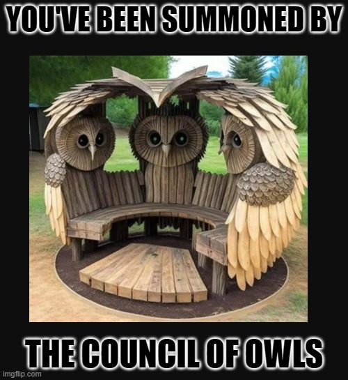 council of owls | YOU'VE BEEN SUMMONED BY; THE COUNCIL OF OWLS | image tagged in memes,owls | made w/ Imgflip meme maker
