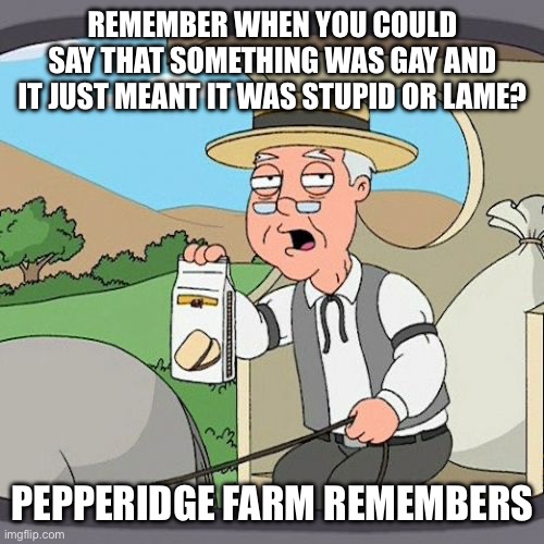 Pepperidge Farm Always Remembers | REMEMBER WHEN YOU COULD SAY THAT SOMETHING WAS GAY AND IT JUST MEANT IT WAS STUPID OR LAME? PEPPERIDGE FARM REMEMBERS | image tagged in pepperidge farm remembers,gay,stupid,lame,why are people so offended | made w/ Imgflip meme maker
