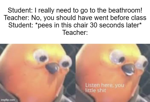 Iceu styled meme :O (#507) |  Student: I really need to go to the beathroom!
Teacher: No, you should have went before class
Student: *pees in this chair 30 seconds later*
Teacher: | image tagged in listen here you little shit bird,iceu,school,teachers,students,memes | made w/ Imgflip meme maker