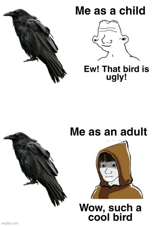 Let's be honest, ravens were always cool | image tagged in memes,funny | made w/ Imgflip meme maker