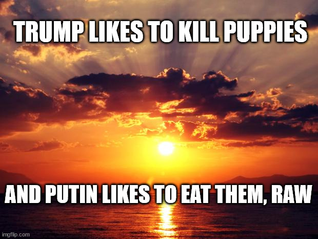 Sunset | TRUMP LIKES TO KILL PUPPIES; AND PUTIN LIKES TO EAT THEM, RAW | image tagged in sunset | made w/ Imgflip meme maker