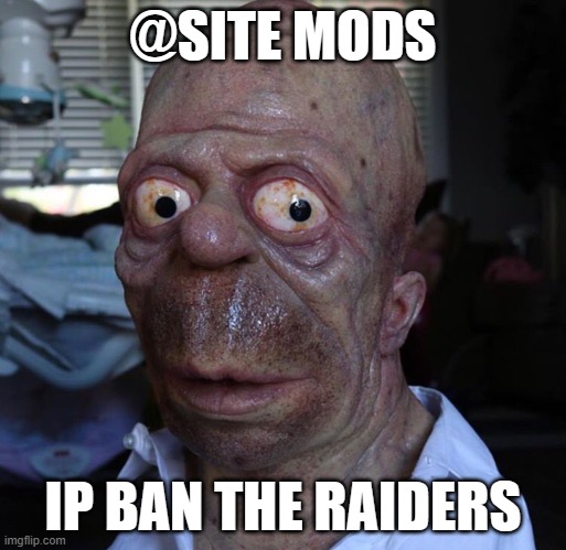 Nomer | @SITE MODS; IP BAN THE RAIDERS | image tagged in nomer | made w/ Imgflip meme maker