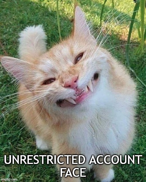funnt cat | UNRESTRICTED ACCOUNT
FACE | image tagged in funnt cat | made w/ Imgflip meme maker