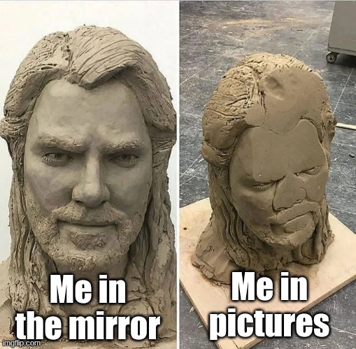 Photos vs. Mirror | Me in pictures; Me in the mirror | image tagged in statue before and after being dropped,memes,relatable,mirror,photos | made w/ Imgflip meme maker