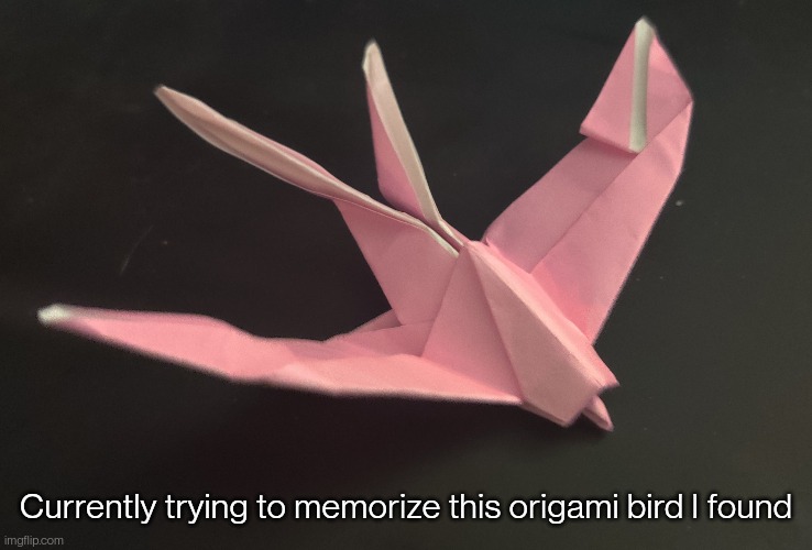 (link in comments) |  Currently trying to memorize this origami bird I found | made w/ Imgflip meme maker