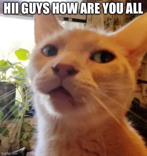 Side Eye Leo | HII GUYS HOW ARE YOU ALL | image tagged in side eye leo | made w/ Imgflip meme maker