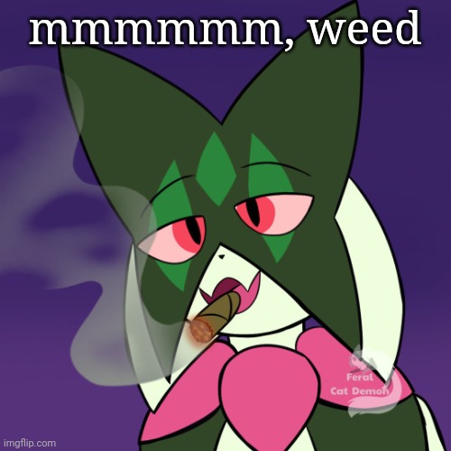 can we get much higher | mmmmmm, weed | image tagged in meowscarada smoking | made w/ Imgflip meme maker