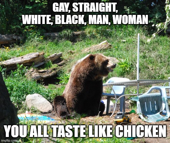 Chicken | GAY, STRAIGHT, WHITE, BLACK, MAN, WOMAN; YOU ALL TASTE LIKE CHICKEN | image tagged in racist,homophobic,sexism,sexist | made w/ Imgflip meme maker