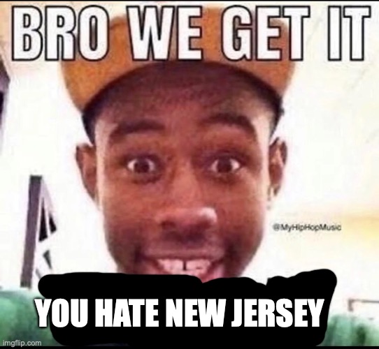 @alts | YOU HATE NEW JERSEY | image tagged in bro we get it you're gay | made w/ Imgflip meme maker
