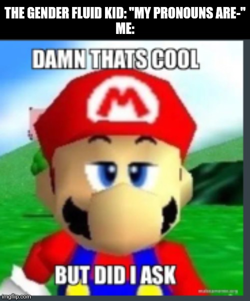 Insert funny title here (if I had one) | THE GENDER FLUID KID: "MY PRONOUNS ARE-"
ME: | image tagged in damn that's cool but did i ask | made w/ Imgflip meme maker