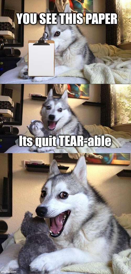 Bad Pun Dog | YOU SEE THIS PAPER; Its quit TEAR-able | image tagged in memes,bad pun dog | made w/ Imgflip meme maker