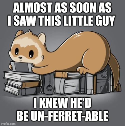 Un-ferret-able | ALMOST AS SOON AS I SAW THIS LITTLE GUY; I KNEW HE'D BE UN-FERRET-ABLE | image tagged in bad puns | made w/ Imgflip meme maker