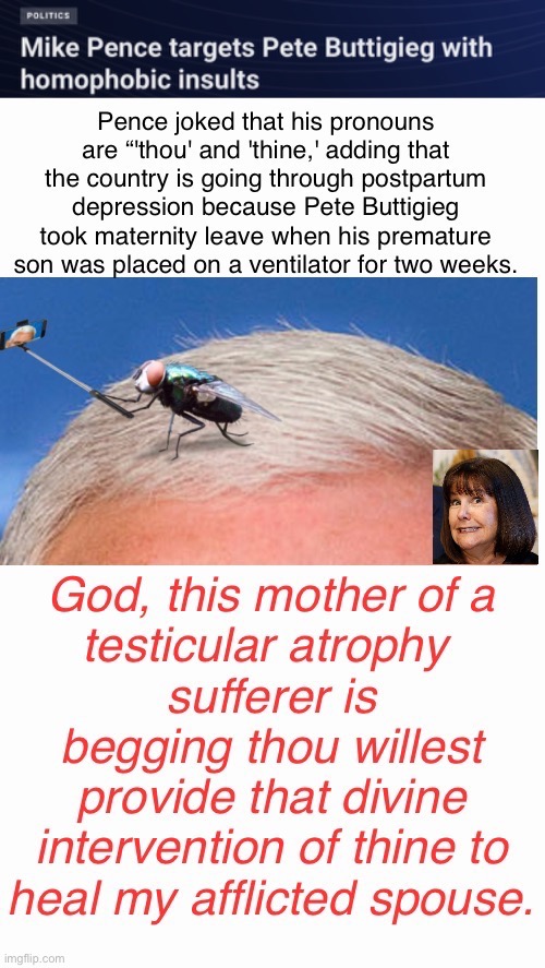 Too Late For Divine Intervention | image tagged in homophobe,fake christian,butt boy,mother f'''er,latent,fly selfie | made w/ Imgflip meme maker