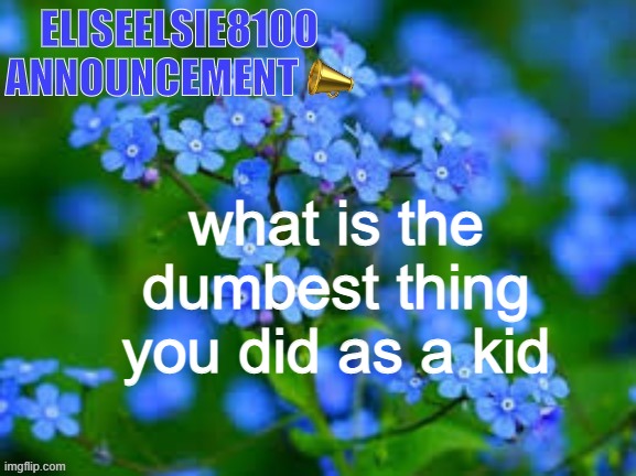 EliseElsie8100 Announcement | what is the dumbest thing you did as a kid | image tagged in eliseelsie8100 announcement | made w/ Imgflip meme maker