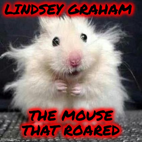 Stressed Mouse | LINDSEY GRAHAM THE MOUSE
THAT ROARED | image tagged in stressed mouse | made w/ Imgflip meme maker