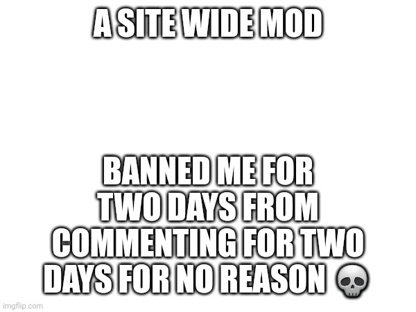 I'm calling mod abuse | BANNED ME FOR TWO DAYS FROM COMMENTING FOR TWO DAYS FOR NO REASON 💀; A SITE WIDE MOD | made w/ Imgflip meme maker