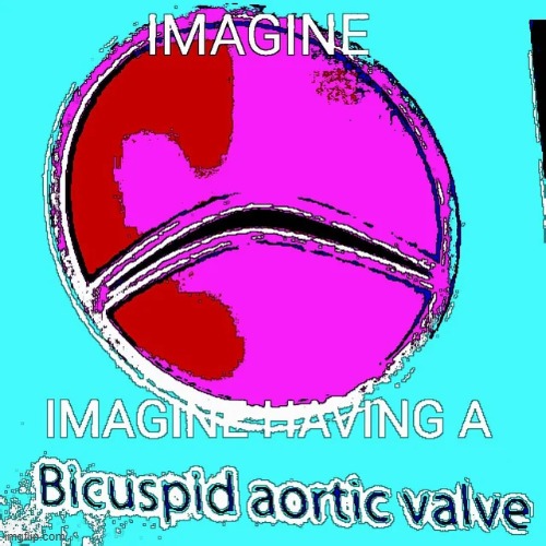 made by the tricuspid aortic valve gang | image tagged in nuke,random,memes | made w/ Imgflip meme maker