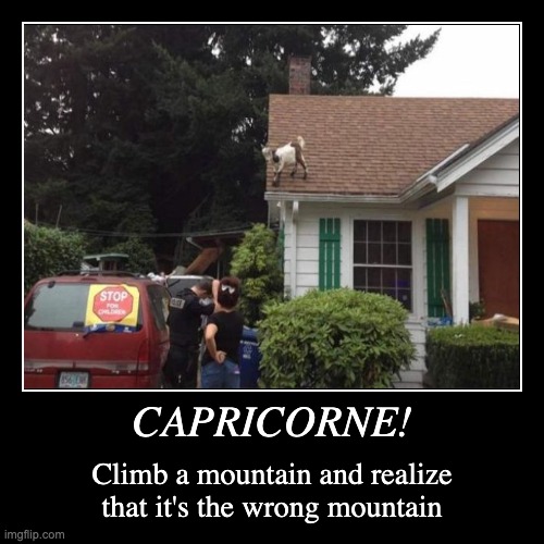 Capricorns problem... | CAPRICORNE! | Climb a mountain and realize that it's the wrong mountain | image tagged in funny,demotivationals,capricorn,astrology,zodiac,zodiac signs | made w/ Imgflip demotivational maker