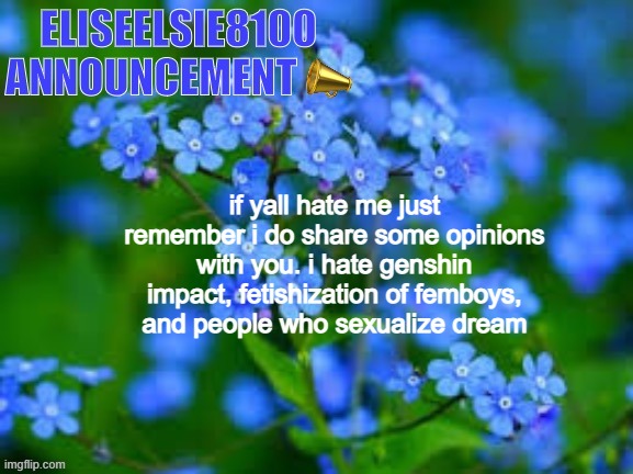 EliseElsie8100 Announcement | if yall hate me just remember i do share some opinions with you. i hate genshin impact, fetishization of femboys, and people who sexualize dream | image tagged in eliseelsie8100 announcement | made w/ Imgflip meme maker