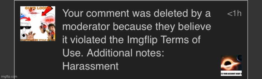Mods are such snowflakes. All it said was delete your account right now | image tagged in bruh,comment banned for 2 days | made w/ Imgflip meme maker