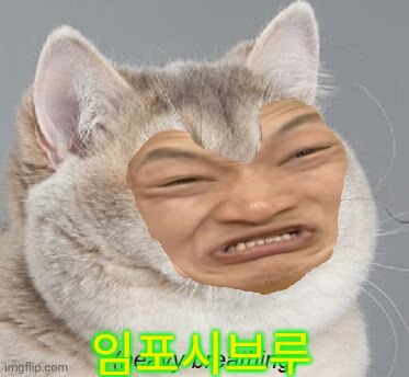 Impossibru Heavy Breathing Cat | 임포시브루 | image tagged in impossibru heavy breathing cat | made w/ Imgflip meme maker
