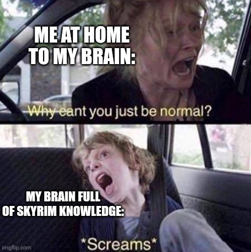 Why Can't You Just Be Normal | ME AT HOME TO MY BRAIN:; MY BRAIN FULL OF SKYRIM KNOWLEDGE: | image tagged in why can't you just be normal | made w/ Imgflip meme maker