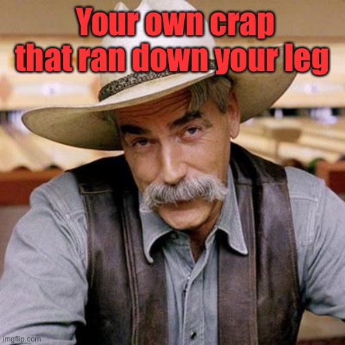 SARCASM COWBOY | Your own crap that ran down your leg | image tagged in sarcasm cowboy | made w/ Imgflip meme maker