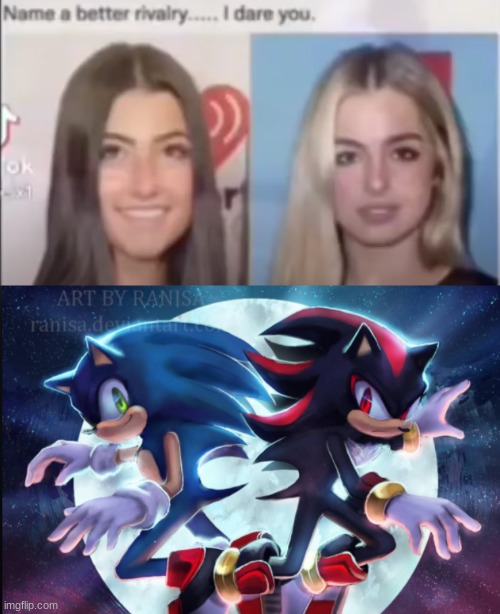 image tagged in sonic the hedgehog and shadow the hedgehog | made w/ Imgflip meme maker