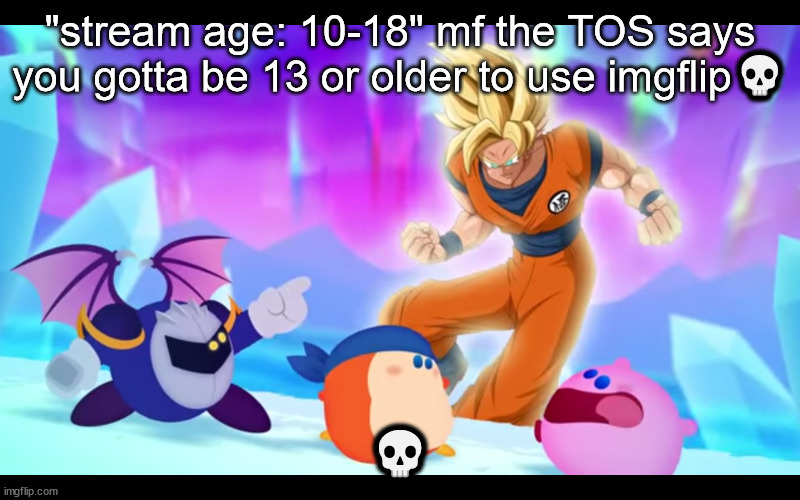 goku real???????? | "stream age: 10-18" mf the TOS says you gotta be 13 or older to use imgflip💀; 💀 | image tagged in goku real | made w/ Imgflip meme maker