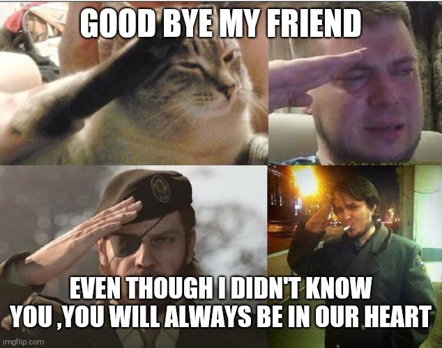 Ozon's Salute | GOOD BYE MY FRIEND EVEN THOUGH I DIDN'T KNOW YOU ,YOU WILL ALWAYS BE IN OUR HEART | image tagged in ozon's salute | made w/ Imgflip meme maker