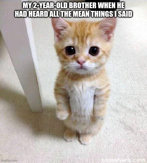 Cute Cat | MY 2-YEAR-OLD BROTHER WHEN HE HAD HEARD ALL THE MEAN THINGS I SAID | image tagged in memes,cute cat | made w/ Imgflip meme maker