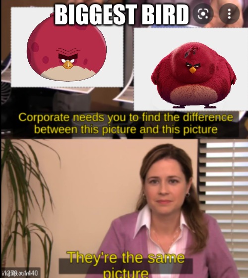 tell me the difference | BIGGEST BIRD | image tagged in tell me the difference | made w/ Imgflip meme maker