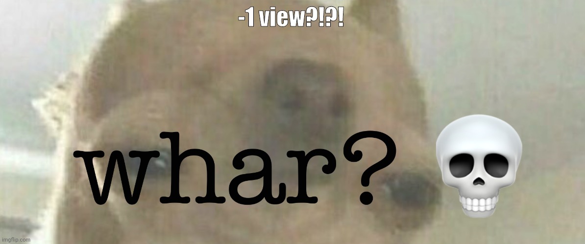 whar | -1 view?!?! | image tagged in whar | made w/ Imgflip meme maker