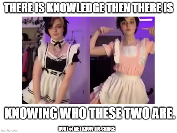 THERE IS KNOWLEDGE THEN THERE IS; KNOWING WHO THESE TWO ARE. DONT @ ME I KNOW ITS CRINGE | made w/ Imgflip meme maker