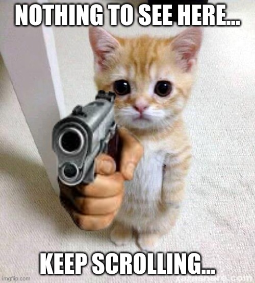 nothing to see here... | NOTHING TO SEE HERE... KEEP SCROLLING... | image tagged in this is a tag | made w/ Imgflip meme maker