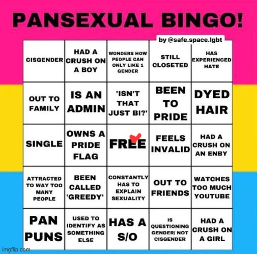 Pansexual Bingo | image tagged in pansexual bingo | made w/ Imgflip meme maker