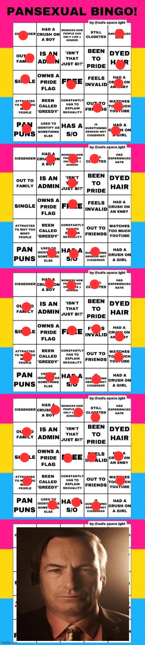 image tagged in pansexual bingo | made w/ Imgflip meme maker