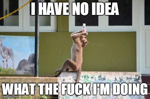 I HAVE NO IDEA WHAT THE F**K I'M DOING | image tagged in monkey drink,funny,animals,monkey | made w/ Imgflip meme maker