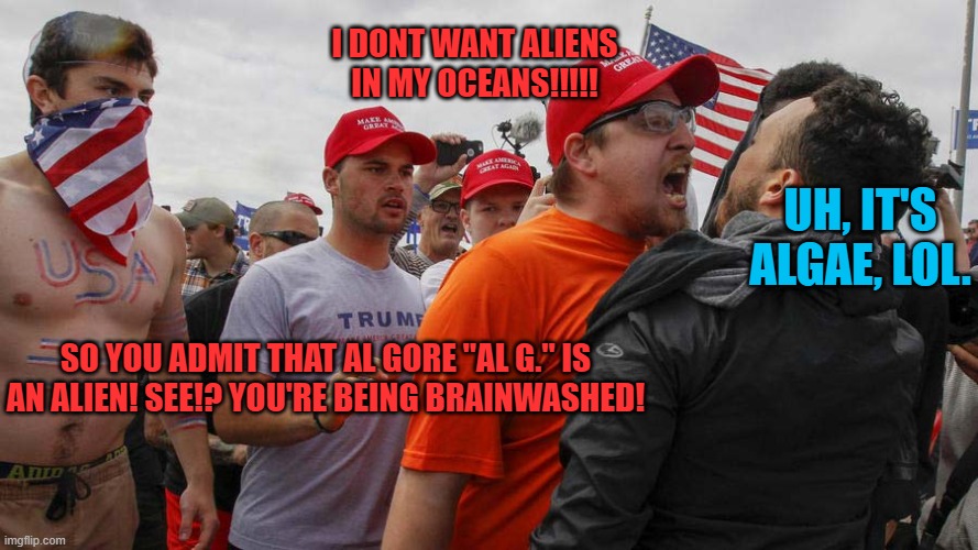 Angry Red Cap | I DONT WANT ALIENS IN MY OCEANS!!!!! UH, IT'S ALGAE, LOL. SO YOU ADMIT THAT AL GORE "AL G." IS AN ALIEN! SEE!? YOU'RE BEING BRAINWASHED! | image tagged in angry red cap | made w/ Imgflip meme maker