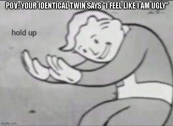 Hold up a minute- | POV: YOUR IDENTICAL TWIN SAYS "I FEEL LIKE I AM UGLY" | image tagged in fallout hold up | made w/ Imgflip meme maker