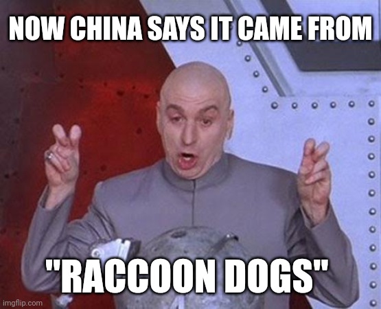 Dr Evil Laser Meme | NOW CHINA SAYS IT CAME FROM; "RACCOON DOGS" | image tagged in memes,dr evil laser | made w/ Imgflip meme maker