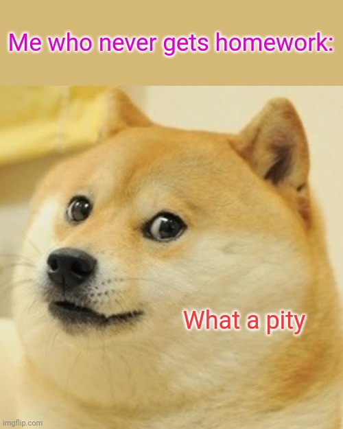 Doge Meme | Me who never gets homework: What a pity | image tagged in memes,doge | made w/ Imgflip meme maker
