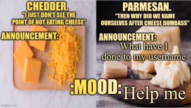 I WANNA BE PARMESAN AGAIN | What have I done to my username; Help me | image tagged in chedder parmesan 's temp | made w/ Imgflip meme maker