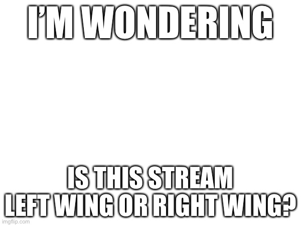 I’M WONDERING; IS THIS STREAM LEFT WING OR RIGHT WING? | made w/ Imgflip meme maker