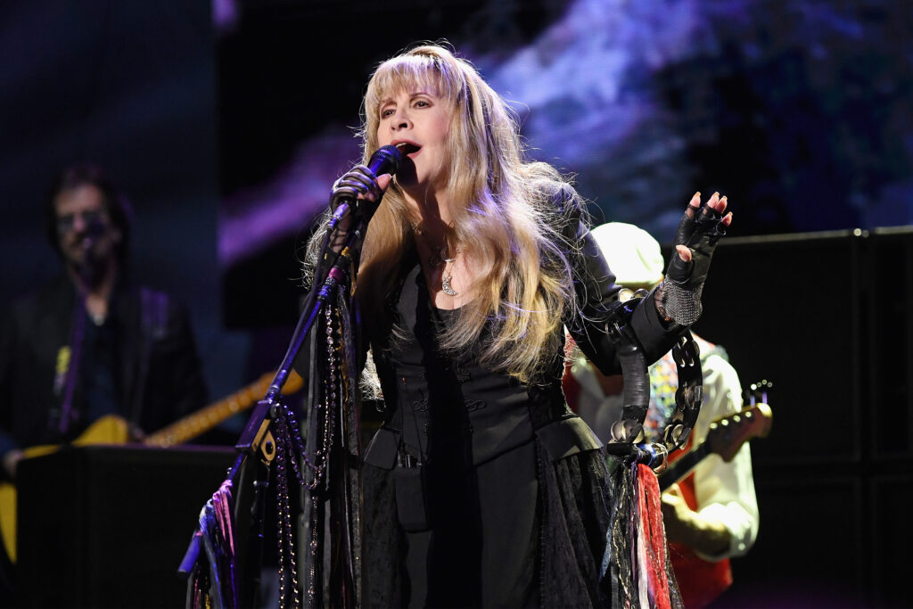 Stevie Nicks Blank Meme Template