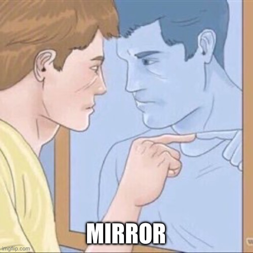 Guy pointing at mirror | MIRROR | image tagged in guy pointing at mirror | made w/ Imgflip meme maker