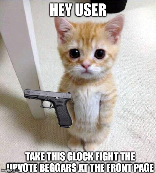 Take It | HEY USER; TAKE THIS GLOCK FIGHT THE UPVOTE BEGGARS AT THE FRONT PAGE | image tagged in memes,cute cat | made w/ Imgflip meme maker