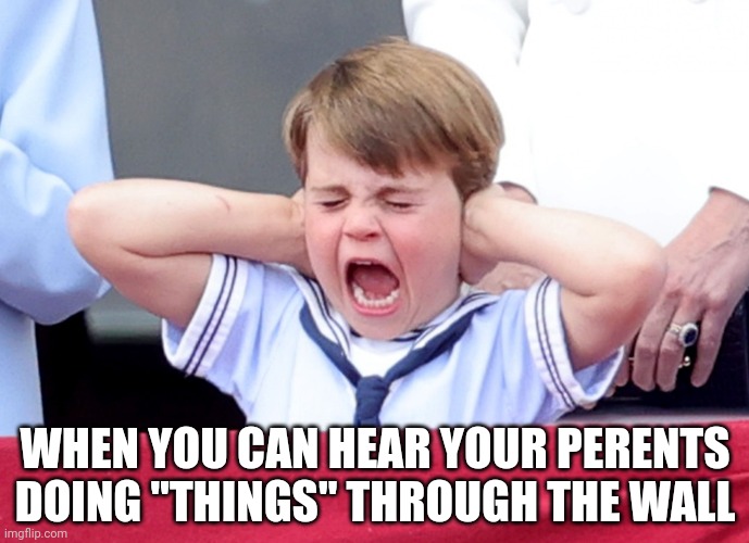 Prince Louis scream | WHEN YOU CAN HEAR YOUR PERENTS DOING "THINGS" THROUGH THE WALL | image tagged in prince louis scream | made w/ Imgflip meme maker