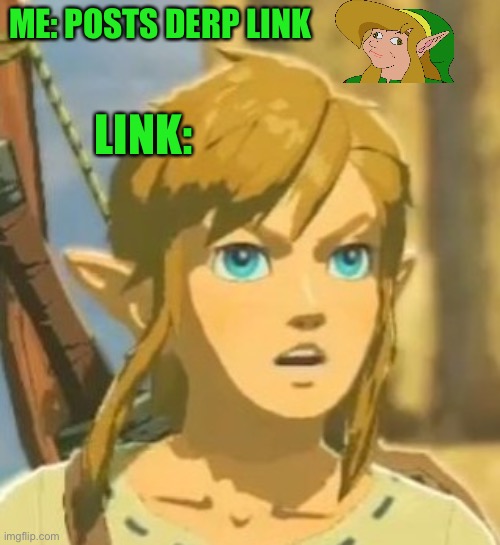 Offended Link | ME: POSTS DERP LINK; LINK: | image tagged in offended link,fun,link,derp,legend of zelda,the legend of zelda breath of the wild | made w/ Imgflip meme maker